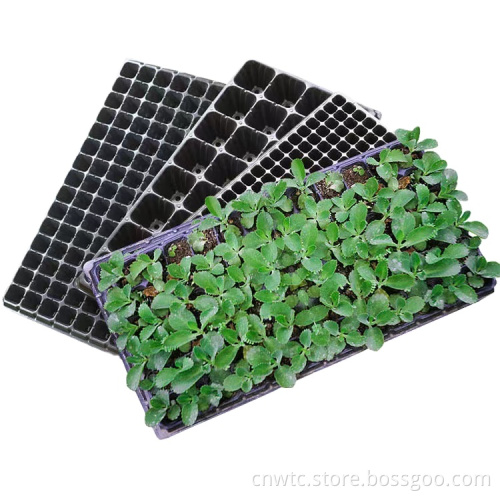 Plastic Seedling Trays: 21, 50, and 128 Cell Garden Germination and Planting Trays for Nurseries and Seed Starting